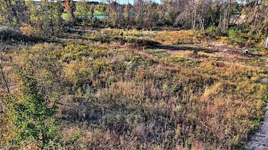 7041 Wolff Rd, Medina, OH 44256 - photo 6