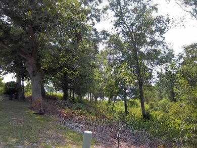 looking to the water