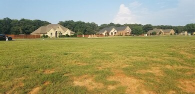 3810 Upper Lake Cir, Granbury, TX 76049 - photo 4