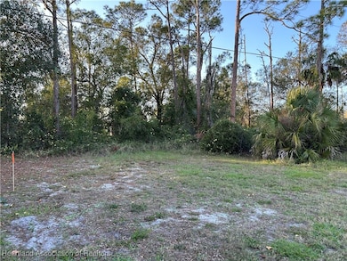 0 Golfview Rd, Sebring, FL 33875 - photo 2