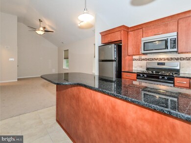 13 Springfield Ave, Flourtown, PA 19031 - photo 6