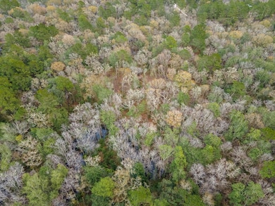 6345 Lake Alapaha Blvd, Naylor, GA 31641 - photo 2