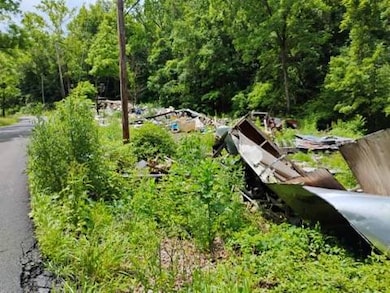 3949 Cold Stream Rd, Capon Bridge, WV 26711 - photo 7