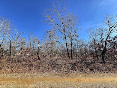 95001 S 4556 Rd, Vian, OK 74962 - photo 6