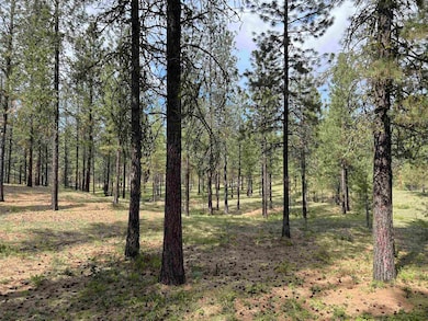 xxx Junco Way, Kettle Falls, WA 99141 - photo 3