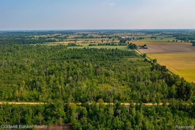 View from Willis Road
