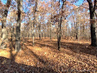 0 Oak Ridge Ln, Spavinaw, OK 74366 - photo 5