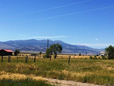 Neighbor to the North