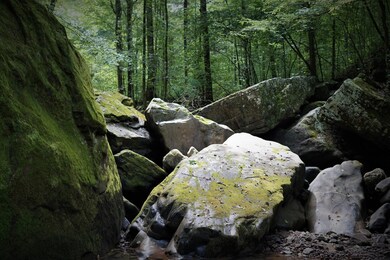 0 Lick Point Rd unit RTC2994491, Sequatchie, TN 37374 - photo 5