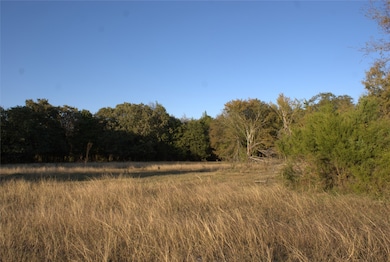 TBD Vz County Road 2147, Wills Point, TX 75169 - photo 3