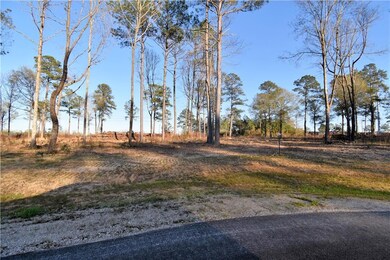 0 Sophie Ln unit Lot 36 CN164366, Dry Prong, LA 71423 - photo 2