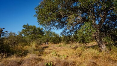 6748 S Hwy 87, Mason, TX 76856 - photo 3