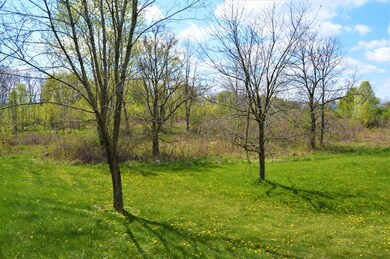 Back area of lot