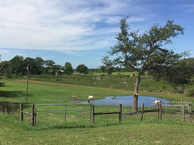 22134 Obrien Rd, Howey-In-the-hills, FL 34737 - photo 2