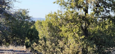 408 N2 Caprica Rd, Ash Fork, AZ 86320 - photo 4