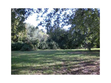 Yard/Garden.