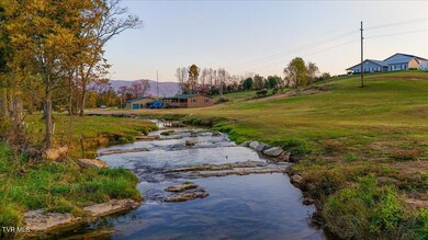 IMG_3906