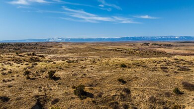 dji_20250410105951_0908_d_35