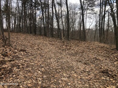 0 Windsong Ln unit 20-90047, Danville, PA 17821 - photo 5