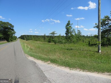 0 Goolsby Rd, Ellaville, GA 31806 - photo 2