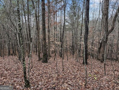 77 Observation Way, Dallas, GA 30132 - photo 6