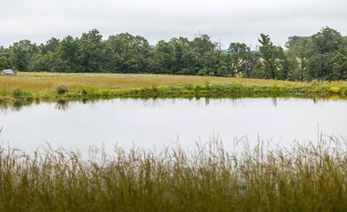 00 Farm Road 1200, Crane, MO 65633 - photo 7