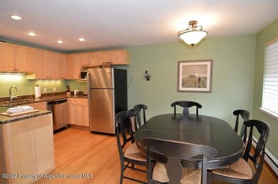 940 Waters Ave unit 307, Aspen, CO 81611 - photo 6