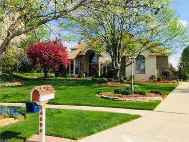 Front View with Spring Foliage