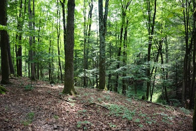 0 Anthony Rd, Fort Edward, NY 12828 - photo 7