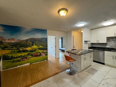 383 Langley Rd unit 12, Newton Center, MA 02459 - photo 2