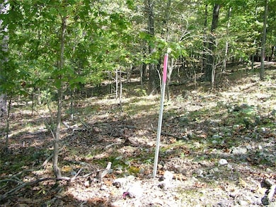 Tract A Rocky Ridge Rd, Mountain Home, AR 72653 - photo 3