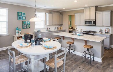 Jasper kitchen-pic 2