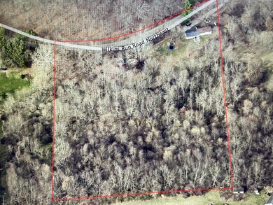 Wilkins aerial