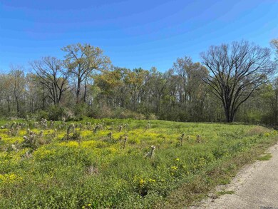 0 Don Lou Rd unit 2025005042, Gonzales, LA 70737 - photo 4