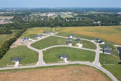 Aerial view of subdivision