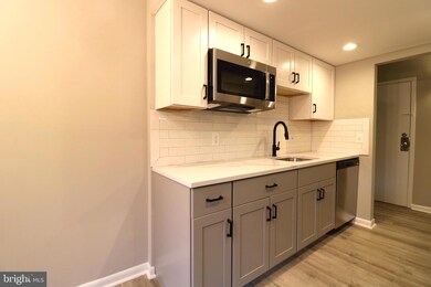 2249 Castle Rock Square unit 11C, Reston, VA 20191 - photo 6