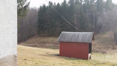 Back yard view