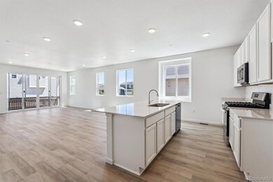 18981 E 96th Place, Commerce City, CO 80022 - photo 5