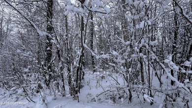 L 735 S Tussle Cir, Willow, AK 99688 - photo 6