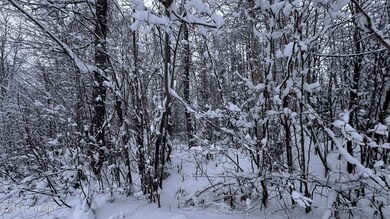 No Number S Tussle Cr Cir, Willow, AK 99688 - photo 6