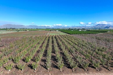 0 S Crawford Ave, Reedley, CA 93654 - photo 5