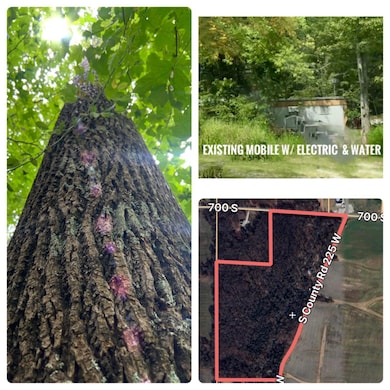 7100 225 W, Versailles, IN 47042 - photo 3