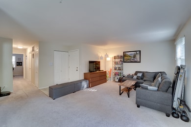 160 Stirling Ln unit X1, Schaumburg, IL 60194 - photo 5