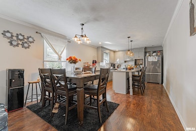 101 S Bogardus St, Elkhart, IL 62634 - photo 3