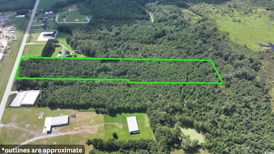 0 Highway 521 unit Lot A, Greeleyville, SC 29056 - photo 3