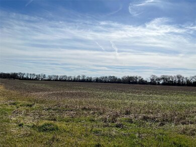 10207 W Ennis Ave, Ennis, TX 75119 - photo 5