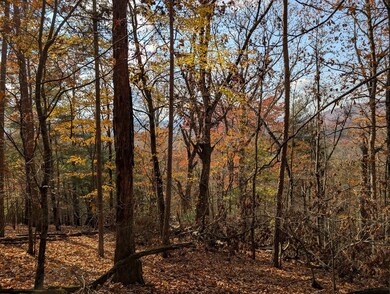 902 Mountain Top Dr, Murphy, MD 20906 - photo 2