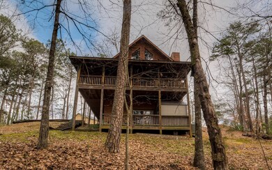 Additional View