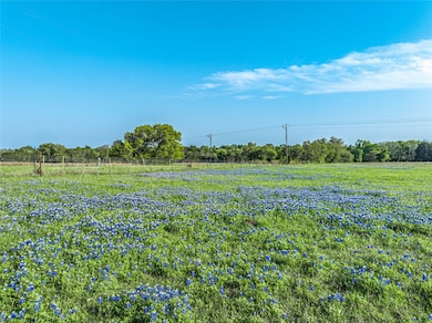 TBD McElroy Tract 2 Ln, New Ulm, TX 78950 - photo 3