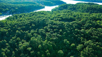 Tbd Sandy Rd, Cross Timbers Township, MO 65326 - photo 2